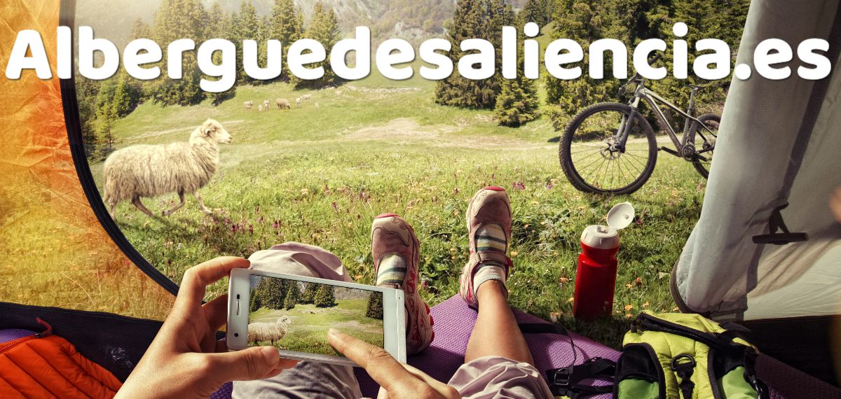 alberguedesaliencia.stereotv.top